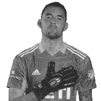 Proud Major League Soccer Sticker by Austin FC