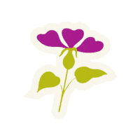 Flower Sticker by Padam Bienestar