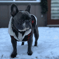 GIF by Glassdoor