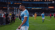 Sport Win GIF by NYCFC