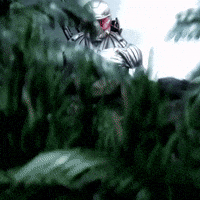 garnetcobra crysis crytek crysis 3 crysis 3 remastered GIF