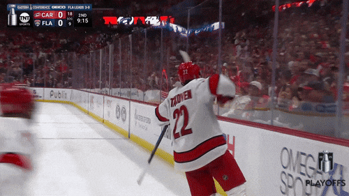 Stanley Cup Playoffs Celebration GIF by NHL