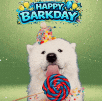 Happy Birthday Dog GIF