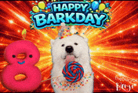 Birthday Benji GIF