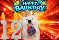 Happy Birthday GIF