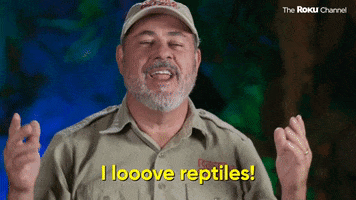Season 1 Reptile GIF by The Roku Channel