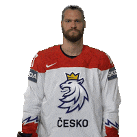Celebration Hockey Sticker by Národní tým