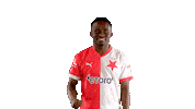 Football Soccer Sticker by SK Slavia Praha