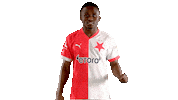 Football Soccer Sticker by SK Slavia Praha