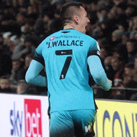 Celebration Goal GIF by MillwallFC