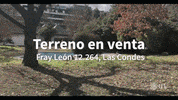 GIF by JLL