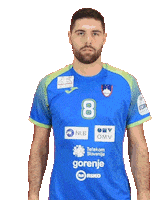 Handball Euro Sticker by Rokometna zveza
