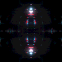 kronogenesis megasoma GIF