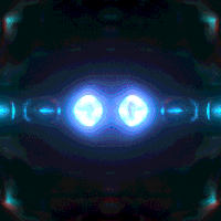 megasoma kronogenesis GIF