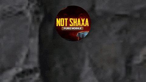 NOTshaxa giphyupload notshaxa shaxa not shaxa GIF
