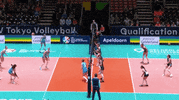 GIF by CEV - European Volleyball