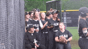 dance celebration GIF