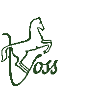 Happy Shopping Sticker by Reitsport Voss