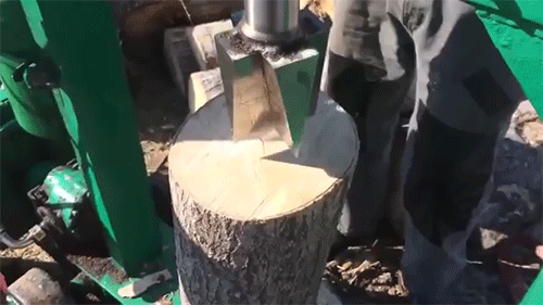 log satisfying GIF