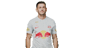Football Sport Sticker by FC Red Bull Salzburg