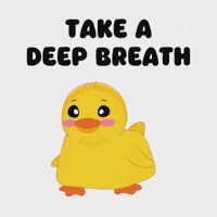 Relaxed Good Vibes GIF by MeetDuckey