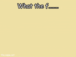 What The Wtf GIF