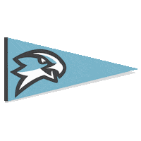 NationalParkCollege npc nighthawks npc nighthawks national park college nighthawks Sticker