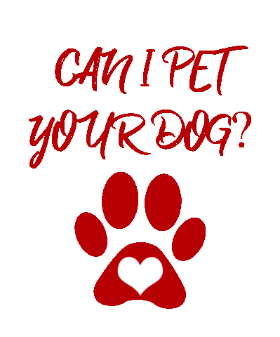 puppydogtails giphyupload love dog puppy Sticker