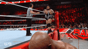Wwe Wrestling GIF by USA Network