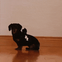 car police GIF