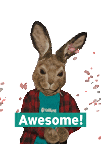 Vaillant_Central party confetti hare vaillant Sticker