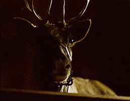 Reindeer Rein GIF by MGM Christmas