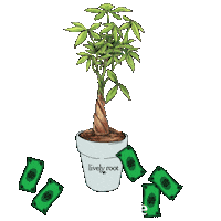 Money Good Luck Sticker by Lively Root