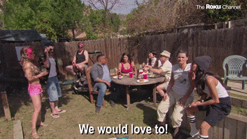 Reno 911 GIF by The Roku Channel