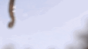 florida keys netflix GIF by Bloodline