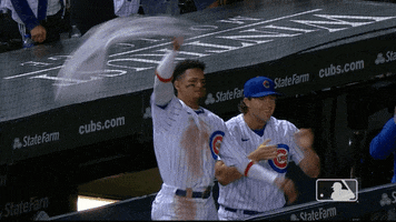 Major League Baseball Sport GIF by MLB
