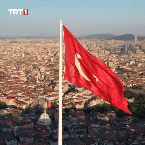 Turkey Turkish GIF by TRT