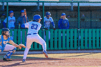 Baseball GIF by TCABB