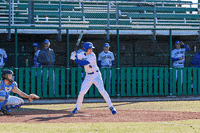 Baseball GIF by TCABB