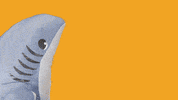 Whats Going On What GIF by StickerGiant