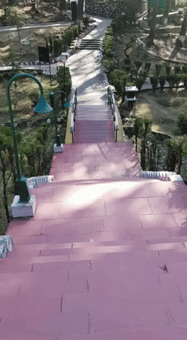 Susanjonestrekking giphyupload GIF
