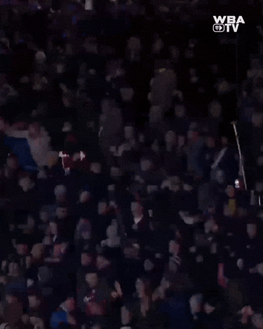 West Brom Goal GIF by West Bromwich Albion