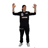 Schweiz Sticker by Swiss Handball