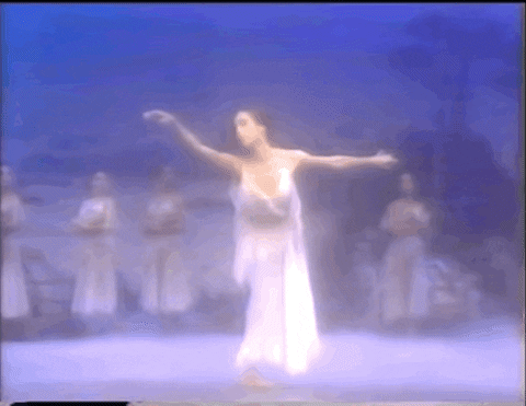 abaker900 giphyupload GIF