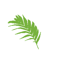 Plant Leaf Sticker by True Botanicals