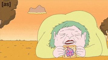 Fairy Bread Yolo GIF by Adult Swim