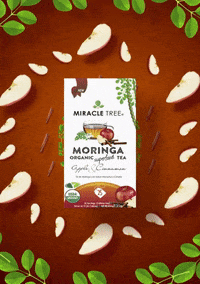 miracletreetea moringa moringa tea miracle tree miracle tree tea GIF