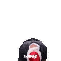 Merry Christmas Love Sticker by SWR3