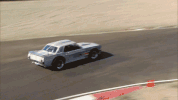 GIF by Discovery