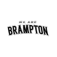 Basketball Nba Sticker by Brampton Honey Badgers